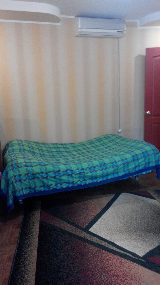 Дом посуточно #10