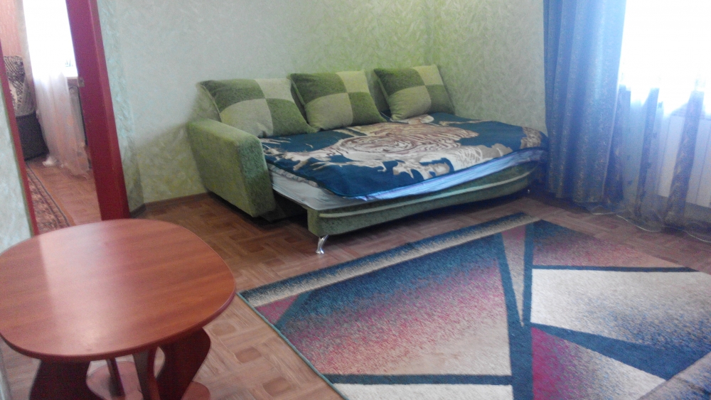 Дом посуточно #13