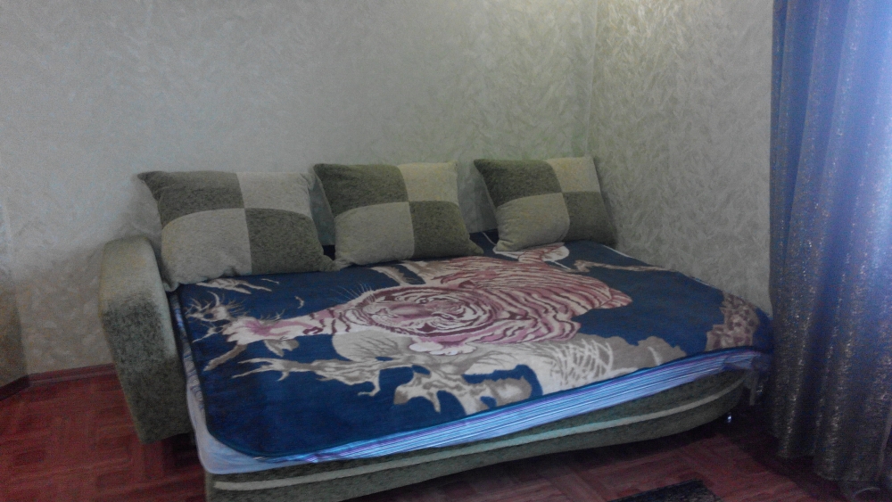 Дом посуточно #16