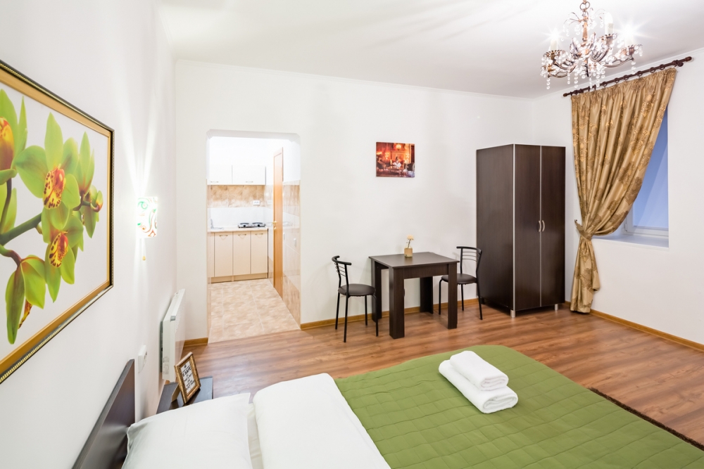 Однокомнатная красивая квартира в самом центре Льв... #5