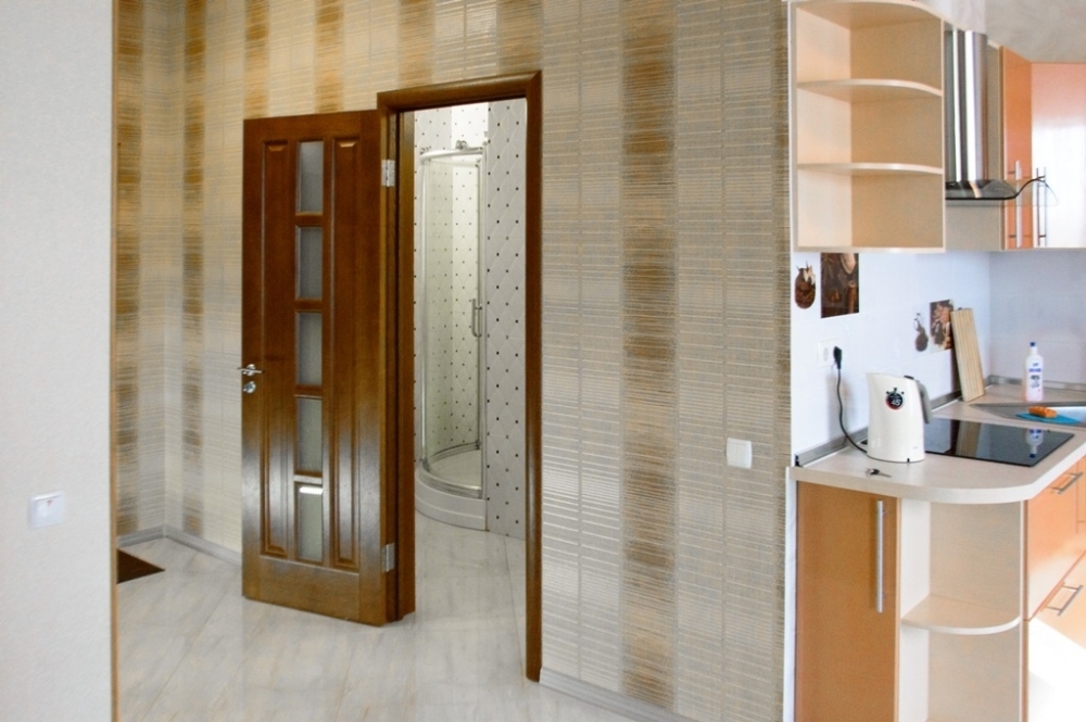 Просторная студия - люкс в новом доме #5