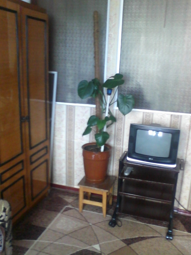 Сдам 2-х комнатную квартиру у моря #3