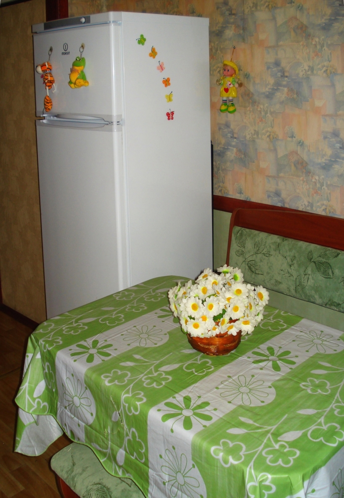 Уютная 2-х-комнатная квартира в центре города #3