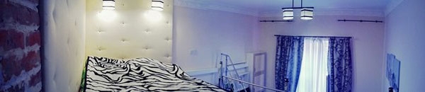 Подобово 1 кімнатна 2-х рівнева квартира, WI-FI, ч... #8