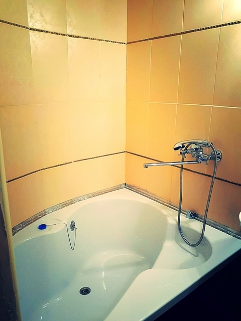 1 комнатная Мазепи-Сечевых Стрельцов, евроремонт,... #8