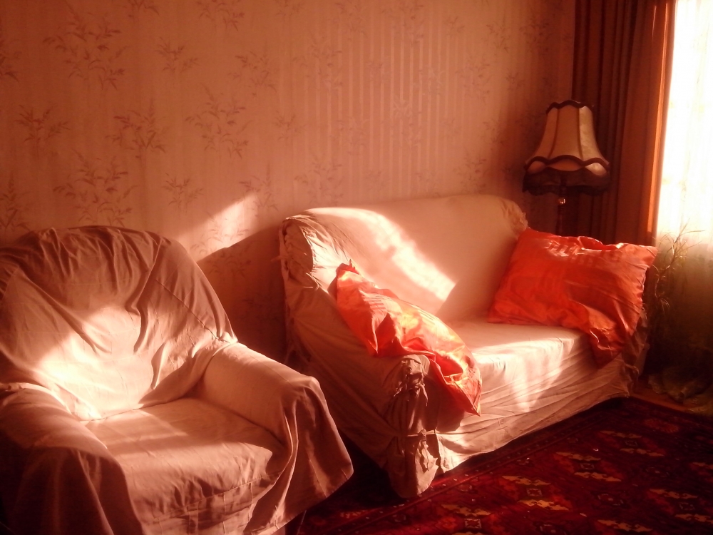 Двухкомнатная раздельная квартира посуточно в Киев... #15