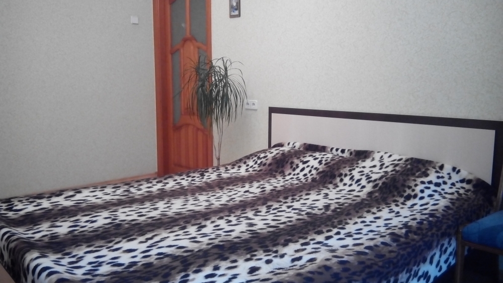 1-ком. квартира возле Аэропорта Борисполь #5