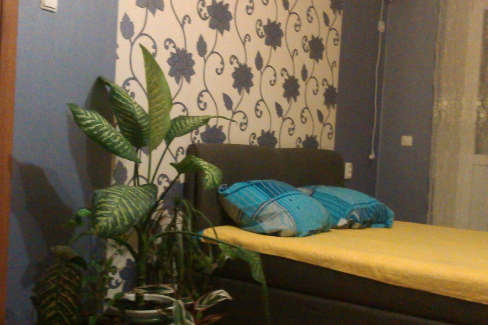 Посуточная Аренда в г.Ильичёвск (круглый год) #4