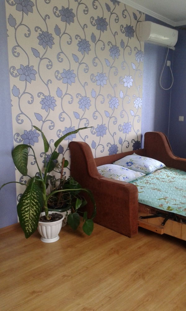 Посуточная Аренда в г.Ильичёвск (круглый год) #8