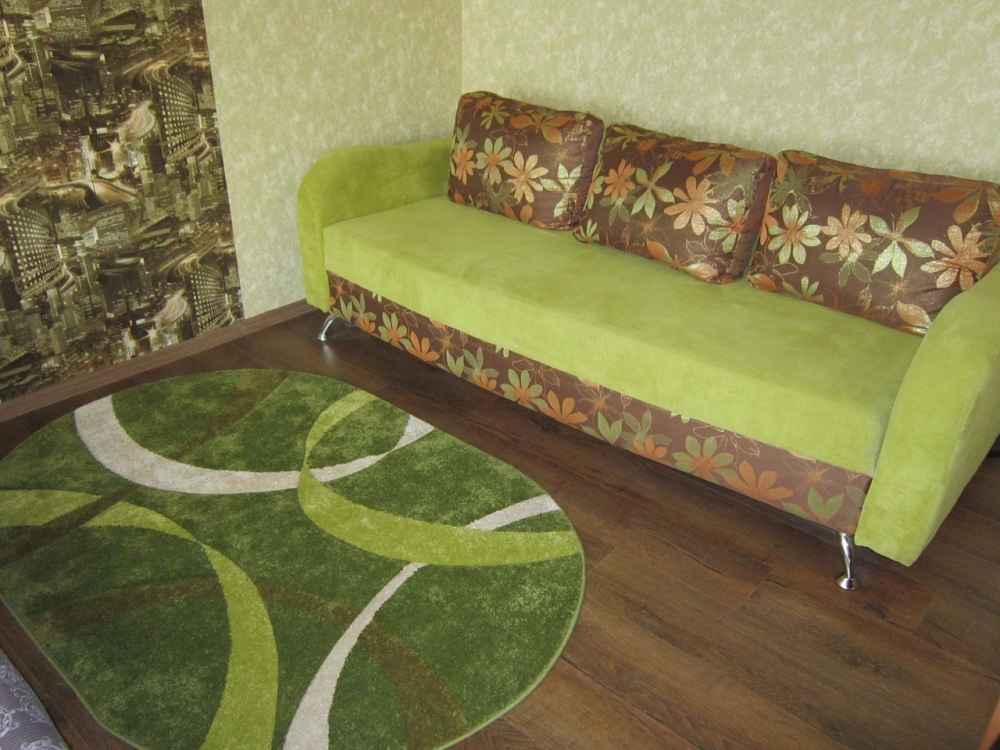 1-комнатная квартира посуточно в центре Запорожья #2