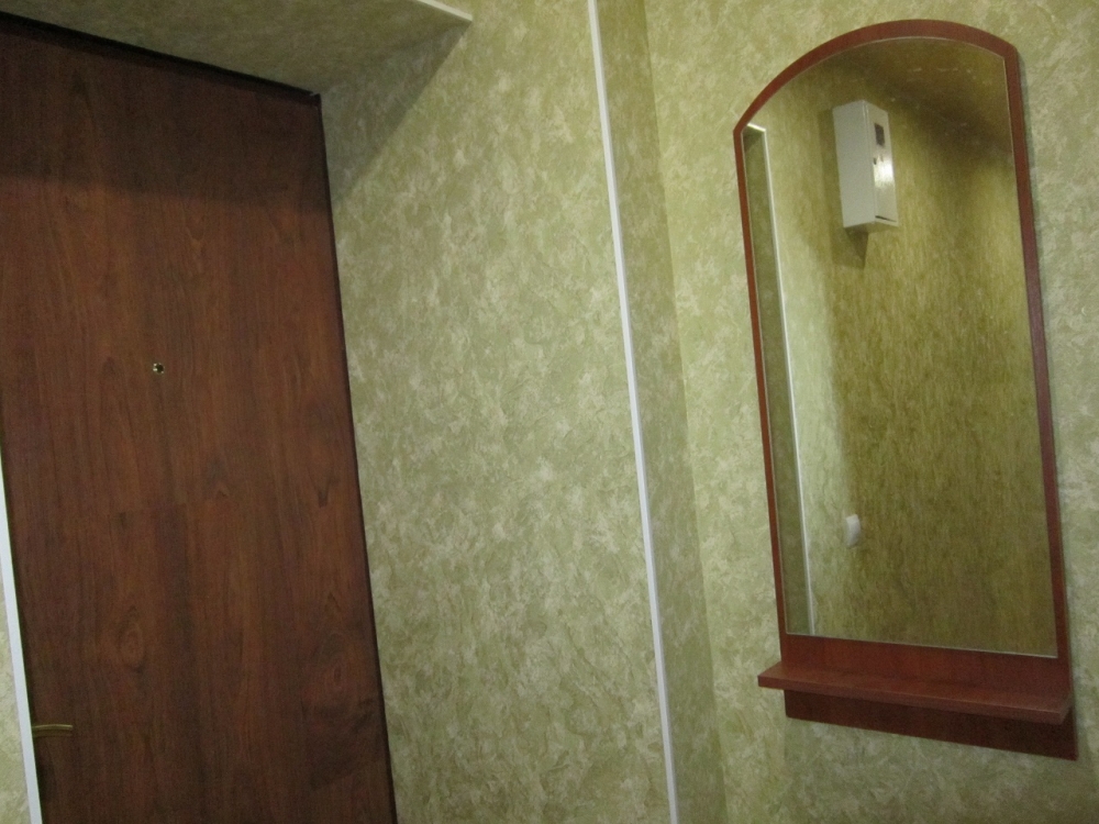 1-комнатная квартира посуточно в центре Запорожья #8