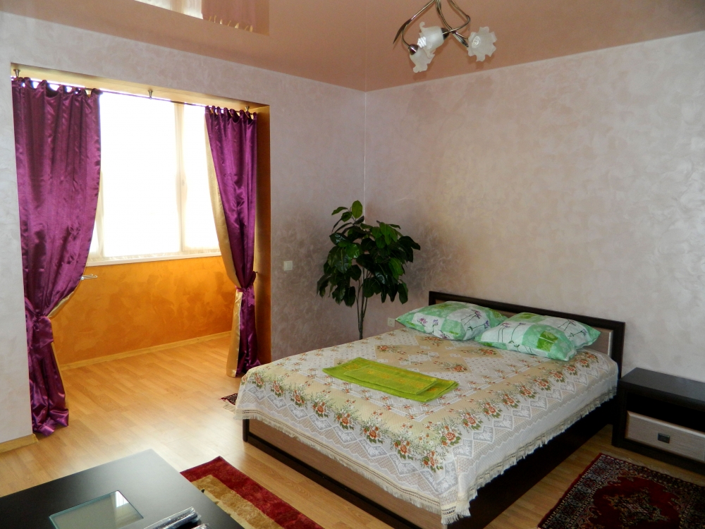 Люкс 1-я квартира, центр города, 700м до бювета #9