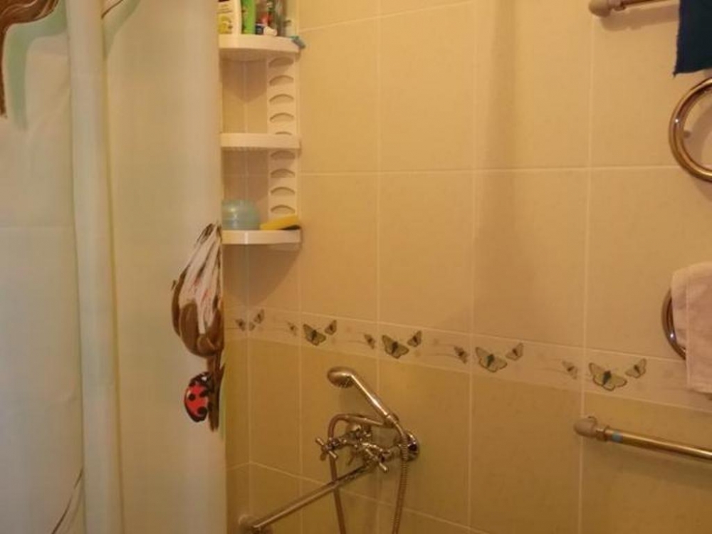 Однокомнатная квартира рядом с курортом #6