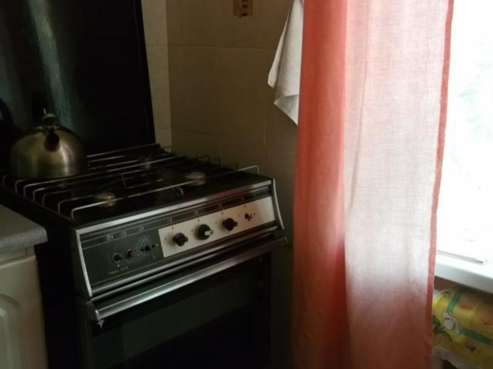 Однокомнатная квартира рядом с курортом #8