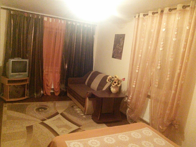 Фонтан ROSHEN, очень уютная и идеально чистая квар... #2