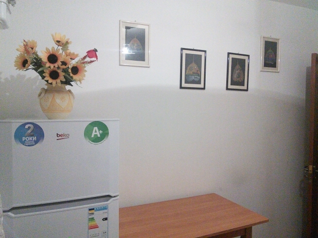 Фонтан ROSHEN, очень уютная и идеально чистая квар... #9