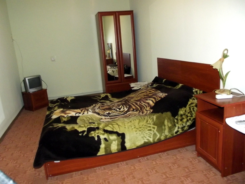 Сдаю однокомнатную квартиру недалеко от центра в Т... #8