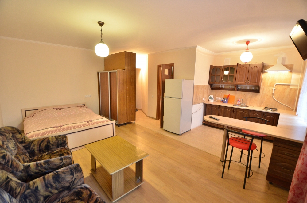 Посуточно замечательная квартира-студия #2