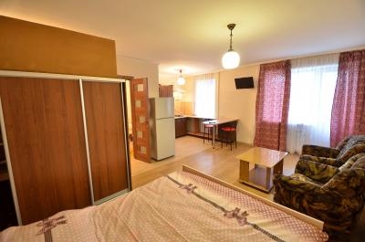 Посуточно замечательная квартира-студия #6