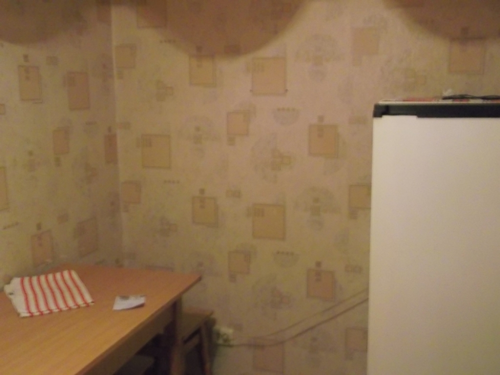 Однокомнатная квартира рядом с курортом #6