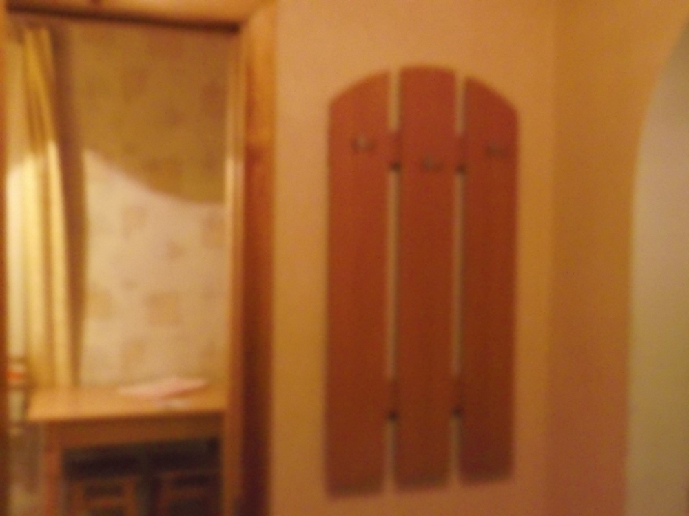 Однокомнатная квартира рядом с курортом #7