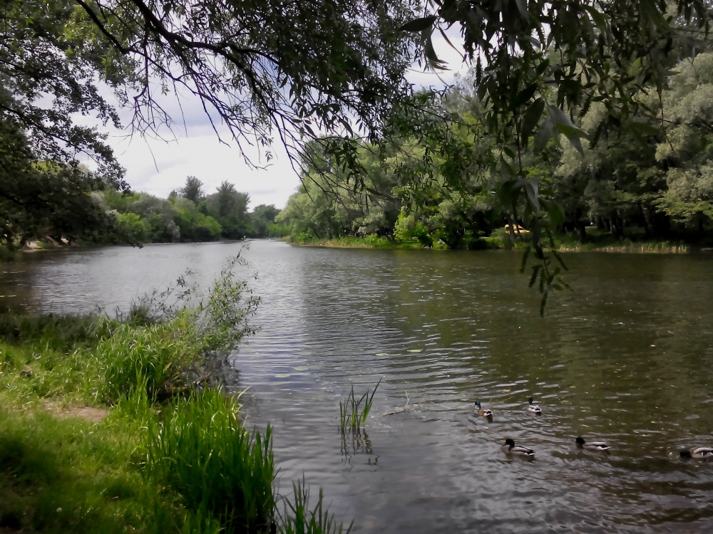 Посуточно уютная 2-х комнатная #3