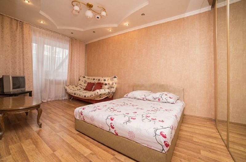 Просторная квартира в центре #5