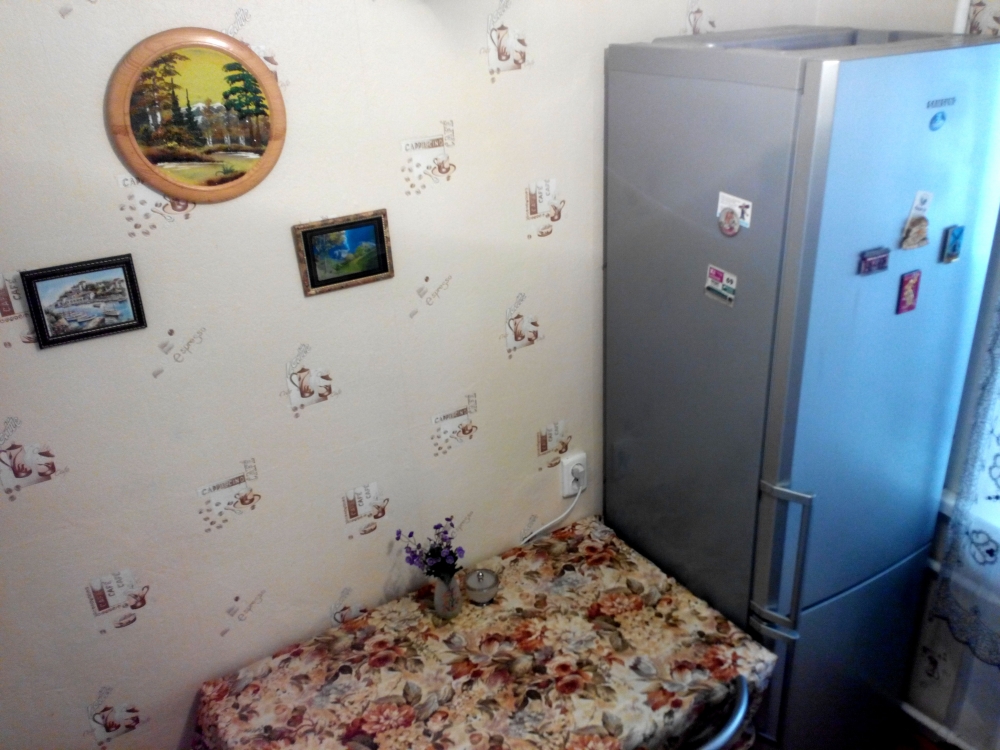 1-комнатная квартира в центре #2