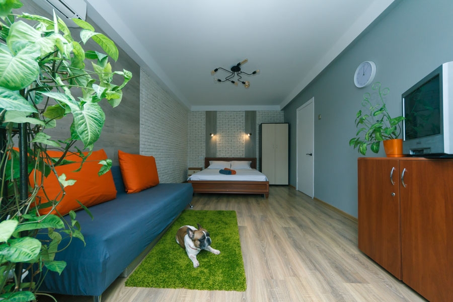 Однокомнатная квартира возле Аквапарка #10