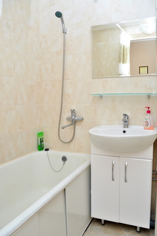 1-к.квартира посуточно в Киеве, проспект Оболонски... #9