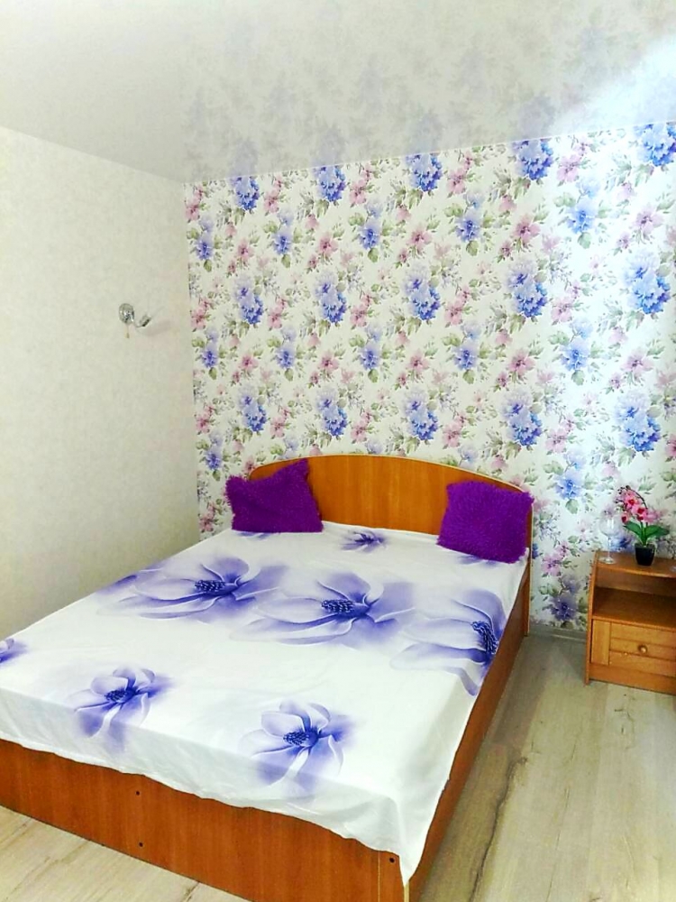 1 комнатная на Генерала Петрова, евроремонт #8