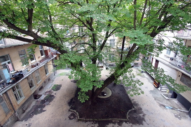 Deluxe Apartments, затишна квартира в центрі Львов... #2