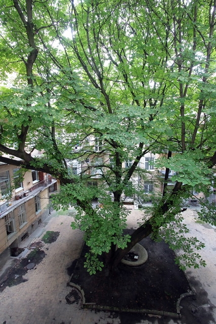 Deluxe Apartments, затишна квартира в центрі Львов... #3