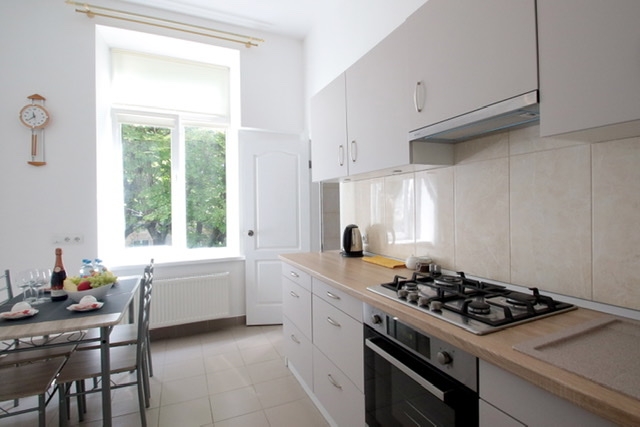 Deluxe Apartments, затишна квартира в центрі Львов... #24