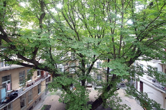 Deluxe Apartments, затишна квартира в центрі Львов... #27