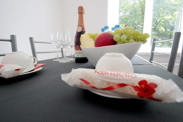 Deluxe Apartments, затишна квартира в центрі Львов... #29