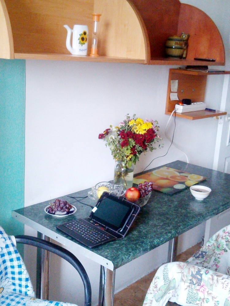 Просторная двухкомнатная в центре, 8 минут до куро... #9