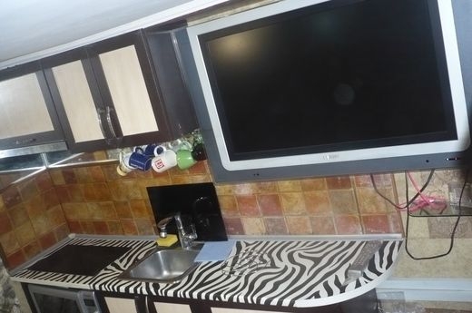 Посуточно Почасово в центре города #9