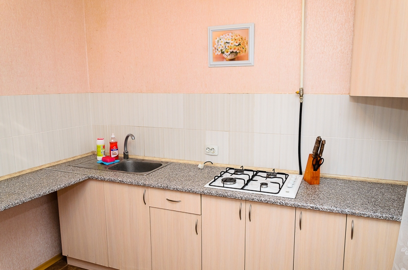 Почасово, посуточно. Центр. Петропавловская. Новый... #7