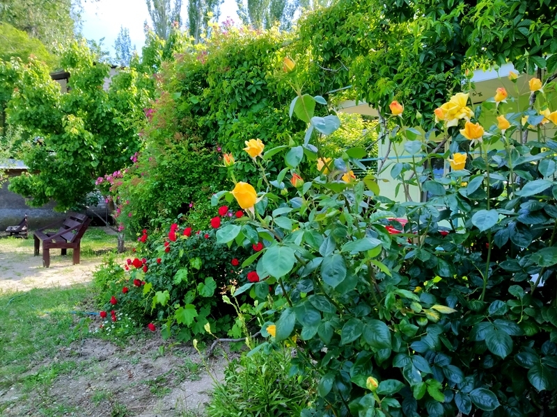 Номера Стандарт в 5 минутах от моря  #13