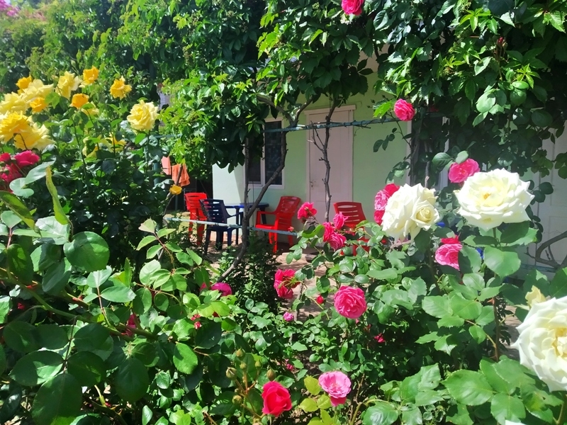 Номера Стандарт в 5 минутах от моря  #27