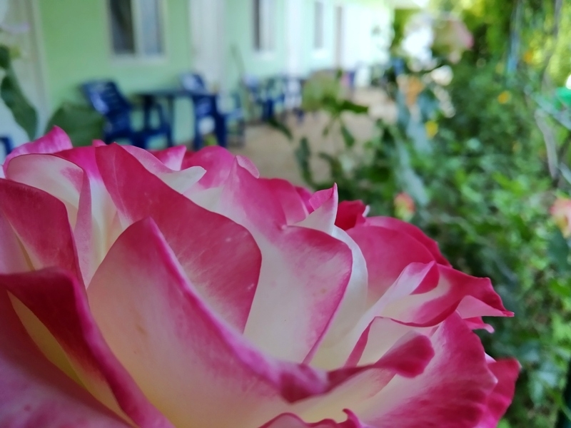 Номера Стандарт в 5 минутах от моря  #28