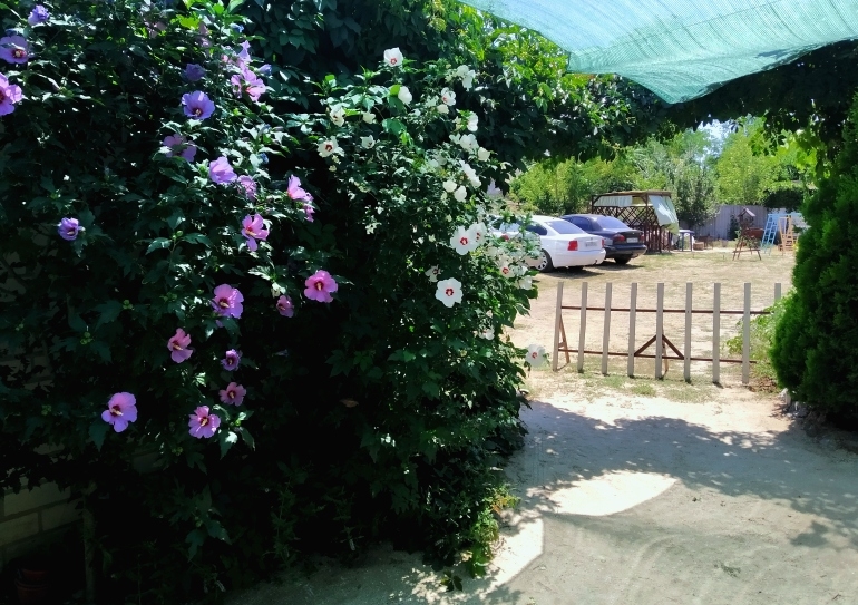 Номера Стандарт в 5 минутах от моря  #29