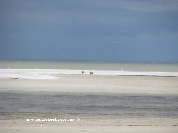 Частный сектор, 2-х, 3-х, 4-х-месные комнаты #3