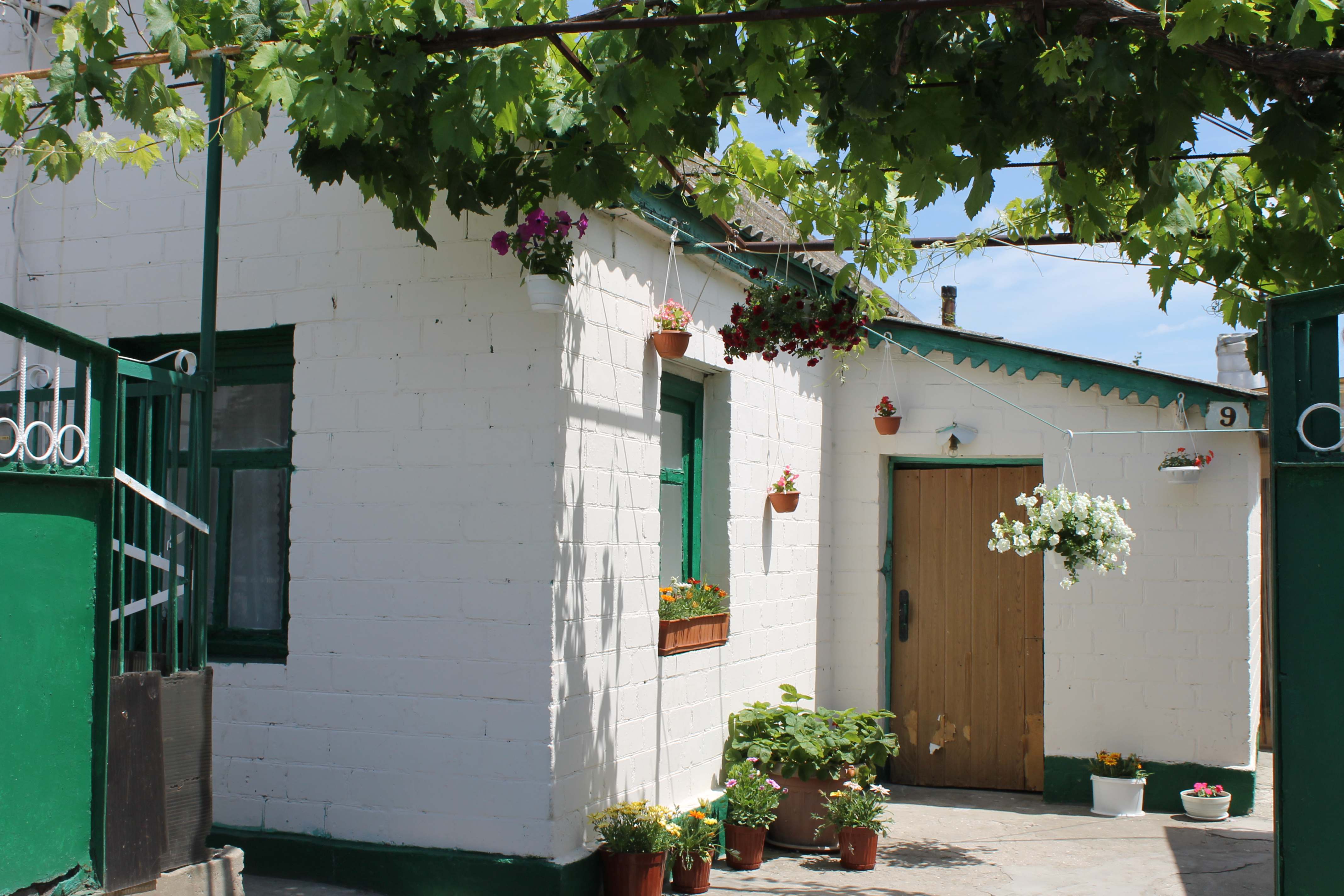 Домик у моря, Крыжановка #9