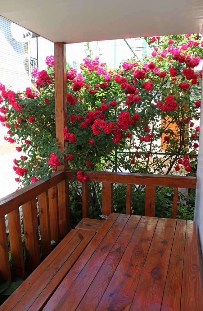 Номера в частном коттедже в центре #8