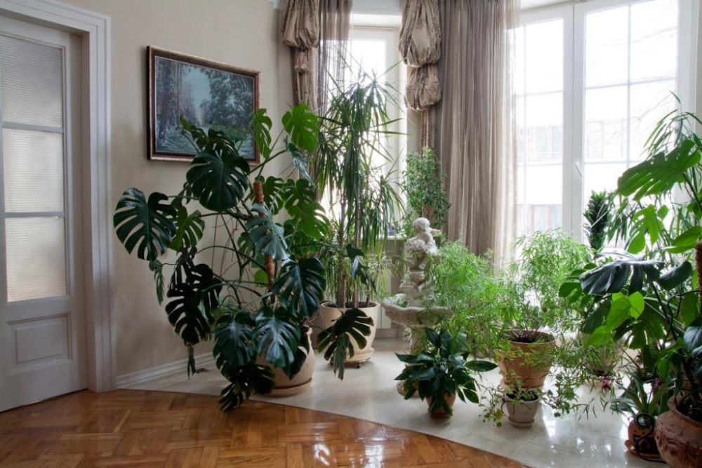 Фешенебельный особняк во Львове для 8-ми человек #23