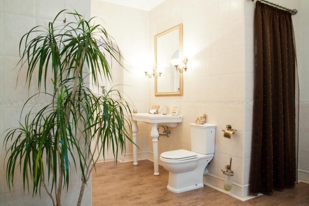 Фешенебельный особняк во Львове для 8-ми человек #34