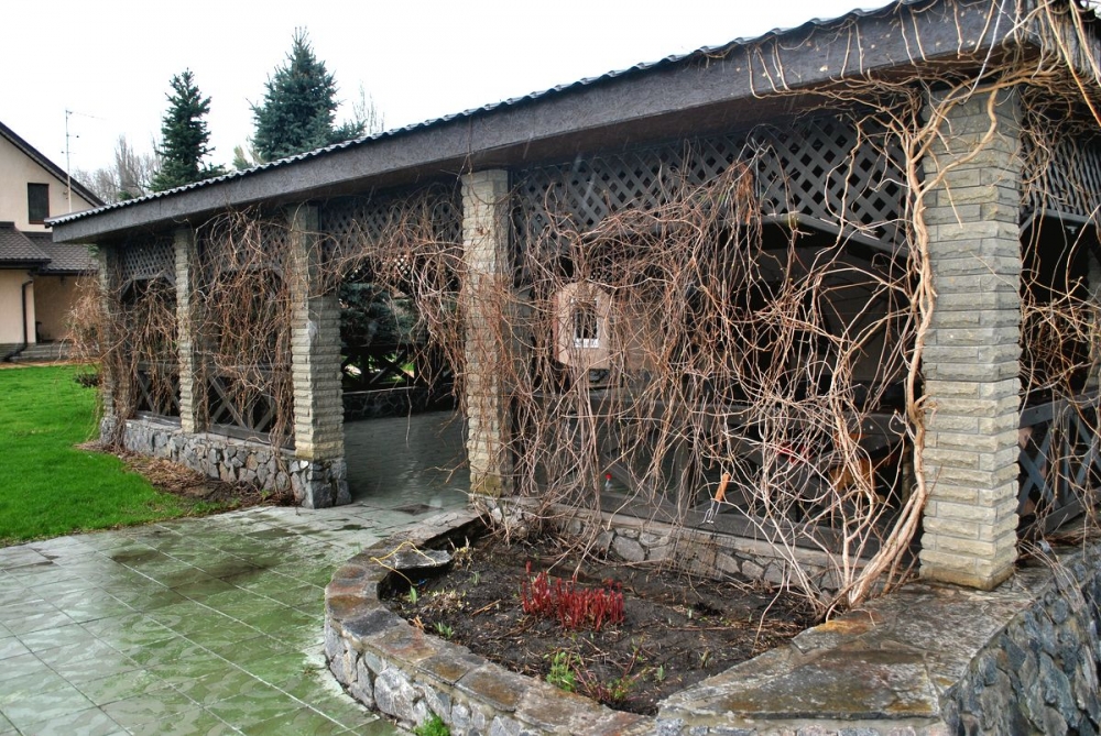 Дом с шикарной территорией, посуточно #6