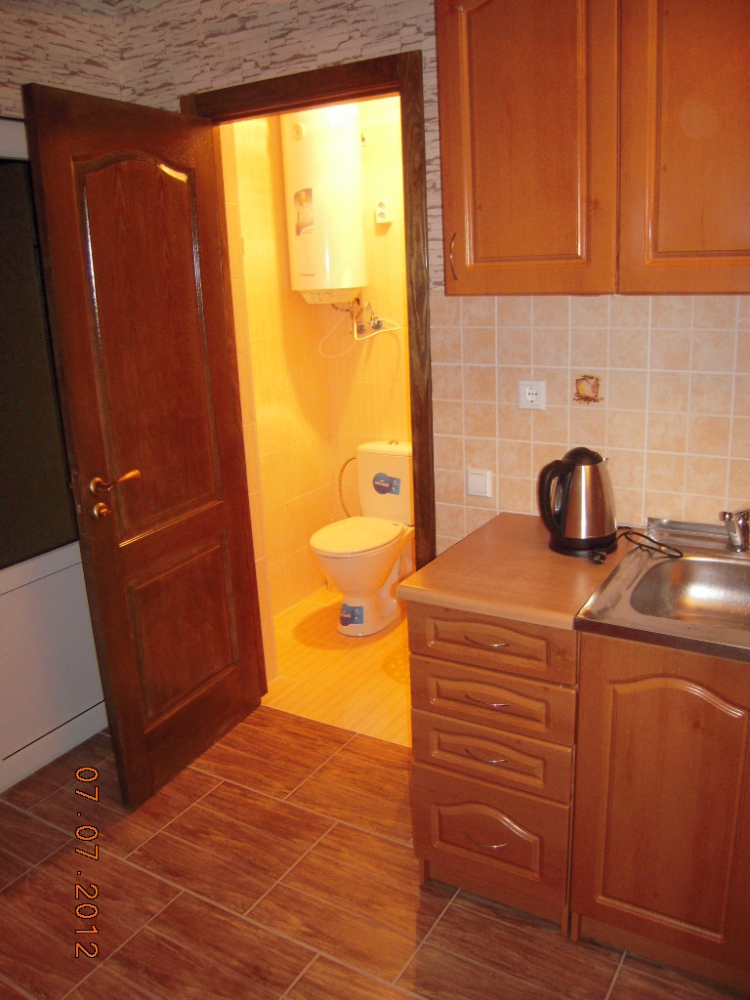 Дом посуточно-понедельно в 17 км от Киева #5